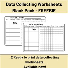 Data Collecting Worksheets - Blank Pack - FREEBIE