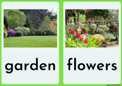Garden Centre Flashcards