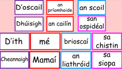 Gaeilge Sentence Builder Display