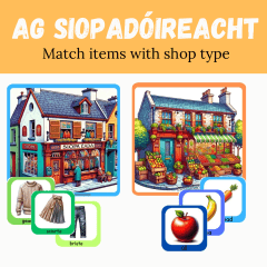 AG SIOPADÓIREACHT -Match items with shop type