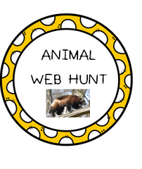 Animal WEB cover