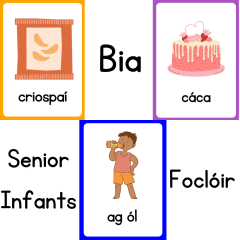 Bia Foclóir Flashcards Senior Infants