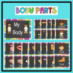 Body Parts Insta