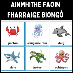 Ainmhithe Faoin Fharraige Biongó