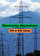 Electricity Worksheet for 5th & 6th Class