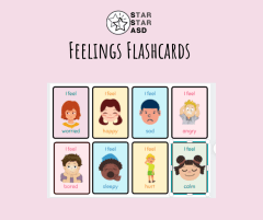 Feelings Flashcards cover