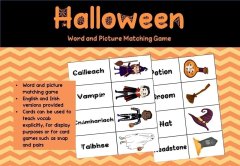 Halloween Matching Game English and Irish