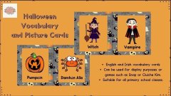 Halloween Vocabulary cards in English and Irish