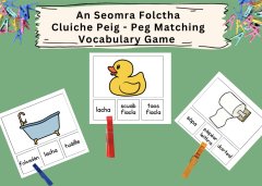 An Seomra Folctha - Vocabulary Peg Game - Sa Bhaile