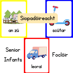 Siopadóireacht Foclóir Flashcards Senior Infants