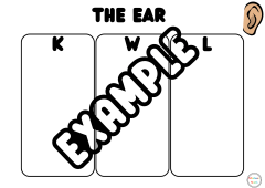 The Ear - KWL Chart