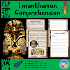 Tutankhamun Comprehension