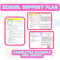 School Support Plan - Completed Example with Advice