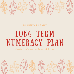 Long Term Numeracy Plan