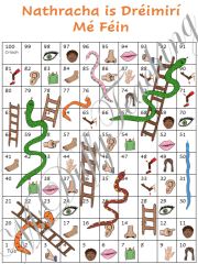 Mé Féin (Myself) - Mo Chorp - Snakes and Ladders Game