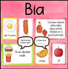 Bia Vocab and Comhrá Display Posters