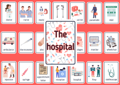 The Hospital Flashcards (Aistear)