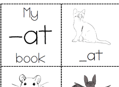 My -at word family book