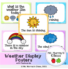 Weather Posters and Flashcards | Ms. Murray's Class