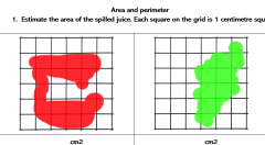 Area and Perimeter Assessment