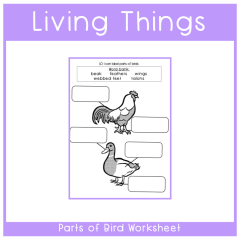 Science - Living Things - Birds Label Worksheet