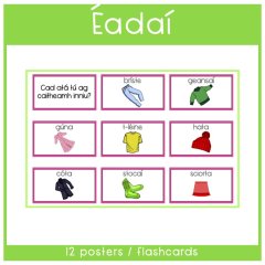 Gaeilge - Éadaí Foclóir - Clothes Display Posters / Flashcards