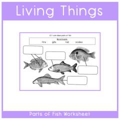 Science - Living Things - Animals Parts of Fish Worksheet