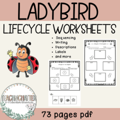 ladybug-life-cycles-worksheet-pdf