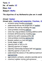 Term 3 Maths Plan- 2nd Class