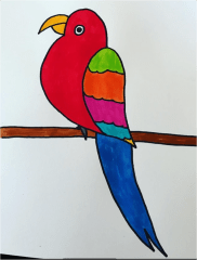 How to draw a Parrot pp