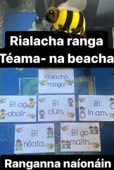 Rialacha Ranga- naíonáin- 'Bí....' na beacha