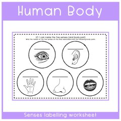 Science - Living Things - Label Senses Worksheet