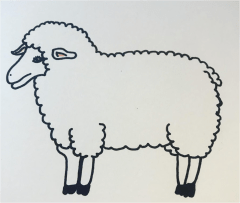 how to draw a sheep pp