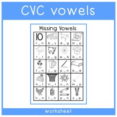 Phonics - Middle Vowel Worksheet