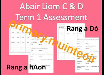 Abair Liom C & D - Term 1 Assessment