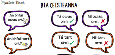 Bia Ceisteanna - Copybook