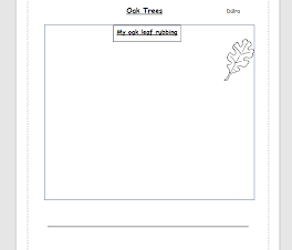 Complete SESE Activity booklet with Plan for Term 1 - Junior & Senior Infants