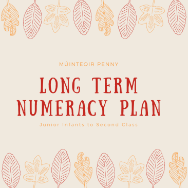 Long Term Numeracy Plan