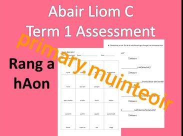 Abair Liom C - Term 1 Assessment