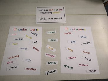 SIngular or Plural