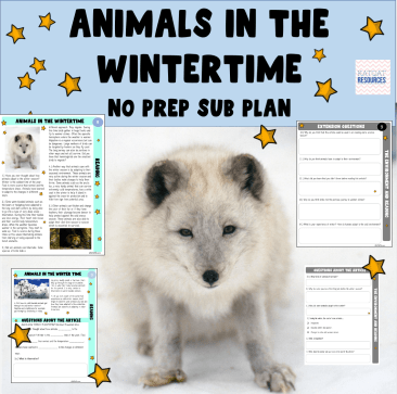 Animals In Wintertime Substitute Teacher Supply Teacher No Prep Comprehension Activity