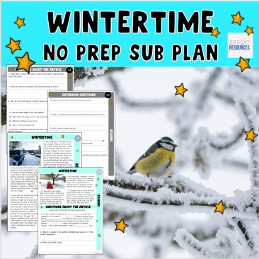 Wintertime - Substitute Teacher Supply Teacher No Prep Comprehension Activity