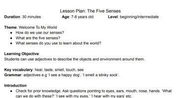 The 5 Senses Lesson Plan and Worksheet EAL/Junior Classes