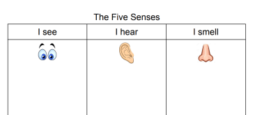 The 5 Senses Lesson Plan and Worksheet EAL/Junior Classes