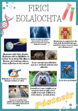 Firicí Eolaíochta - 25 Póstaeir do Sheachtain na hEolaíochta (25 Science Facts Posters)