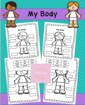 My Body EAL Labelling Worksheets