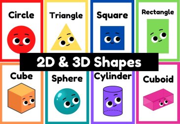 2D & 3D Shapes Display Pack