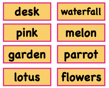 Montessori - Language - Pictures & Cards - 50 words