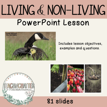 about-living-and-non-living-things