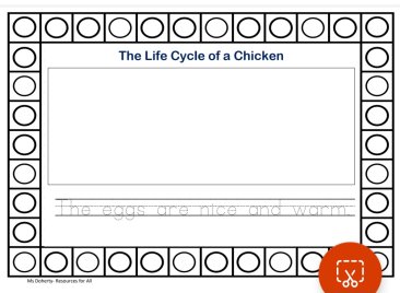 The Lifecycle of a Chicken